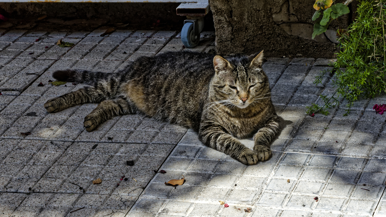 20230522 120830•La Maddalena•Sardinia•Italy